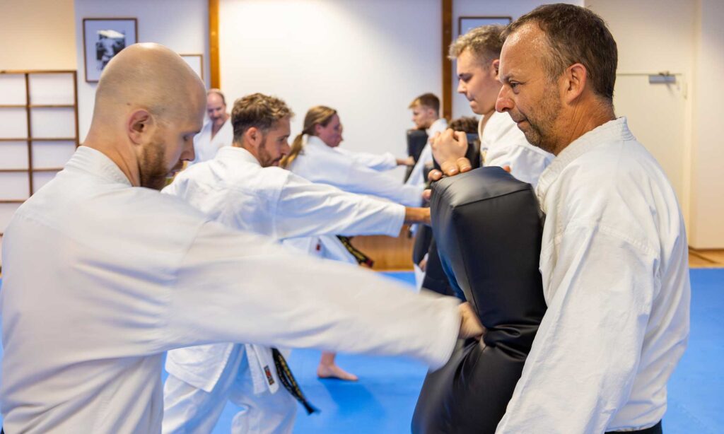 Eine Gruppe erwachsener Kampfsportschüler in weißen Karateuniformen übt Schlagtechniken gegen gepolsterte Ziele, die von ihren Trainingspartnern gehalten werden. Das Dojo hat eine ruhige, konzentrierte Atmosphäre mit blauen Matten und einfacher Wanddekoration. Die Schüler scheinen verschiedenen Alters und Niveaus zu sein und üben gemeinsam in einem koordinierten Kurs.